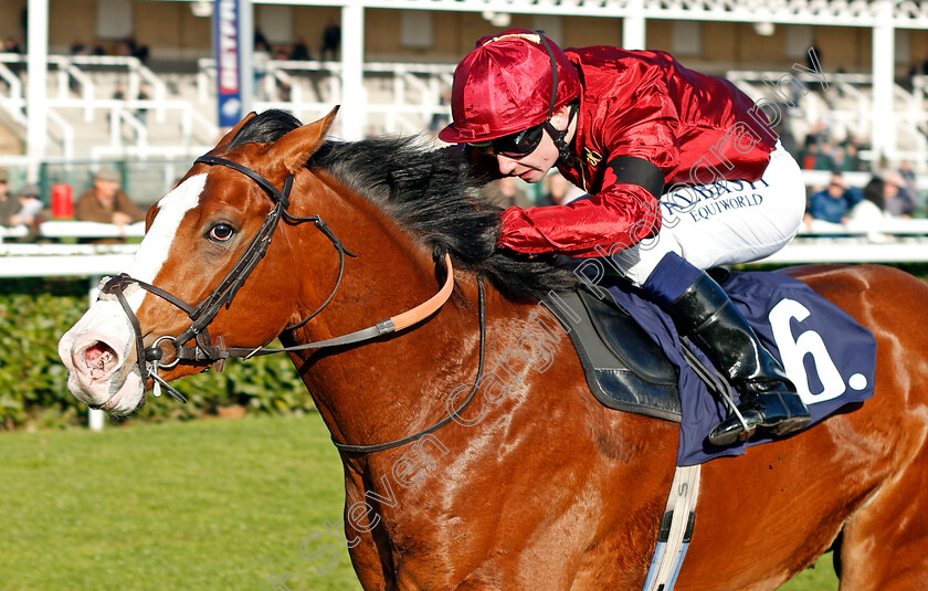 Raid-0003 
 RAID (Oisin Murphy) wins The Betfred Mobile Cock O'The North EBF Maiden Stakes Doncaster 11 Nov 2017 - Pic Steven Cargill / Racingfotos.com