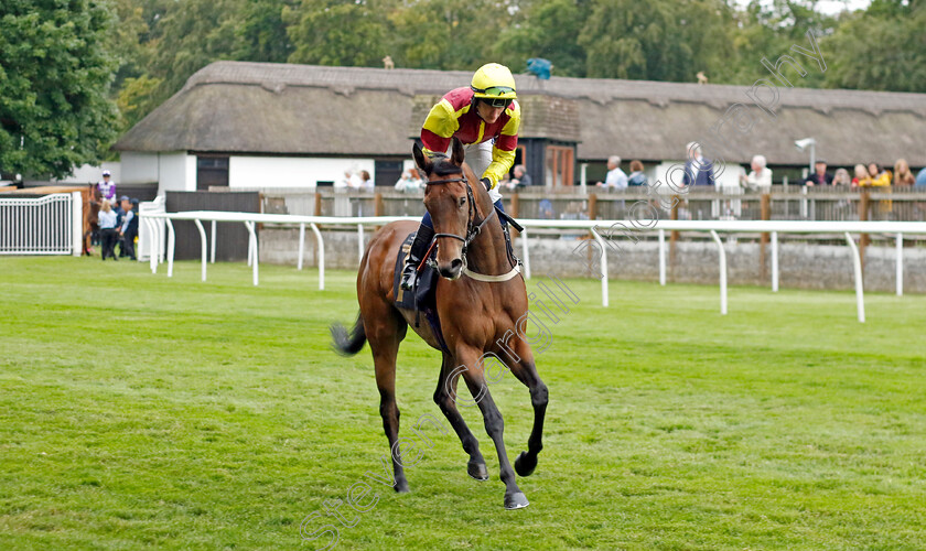 Coco-Jamboo-0001 
 COCO JAMBOO (Daniel Muscutt)
Newmarket 30 Jun 2023 - Pic Steven Cargill / Racingfotos.com