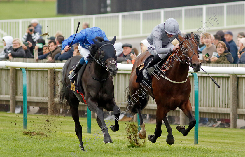 Point-Sur-0005 
 POINT SUR (left, William Buick) beats NATIVE WARRIOR (right) in The Join Racing TV Now Novice Stakes
Newmarket 25 Oct 2023 - Pic Steven Cargill / Racingfotos.com