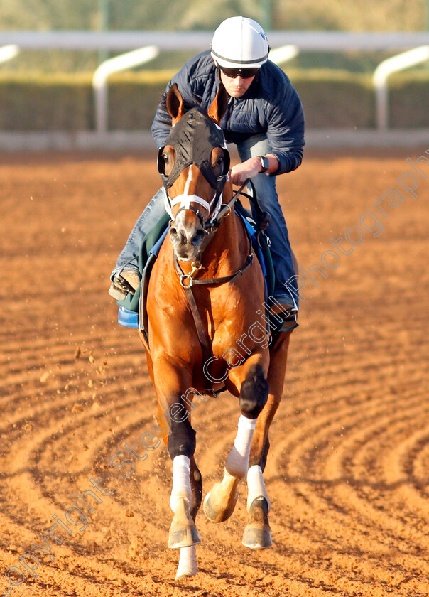 Mandaloun-0007 
 MANDALOUN training for the Saudi Cup
King Abdulaziz Racetrack, Riyadh, Saudi Arabia 22 Feb 2022 - Pic Steven Cargill / Racingfotos.com