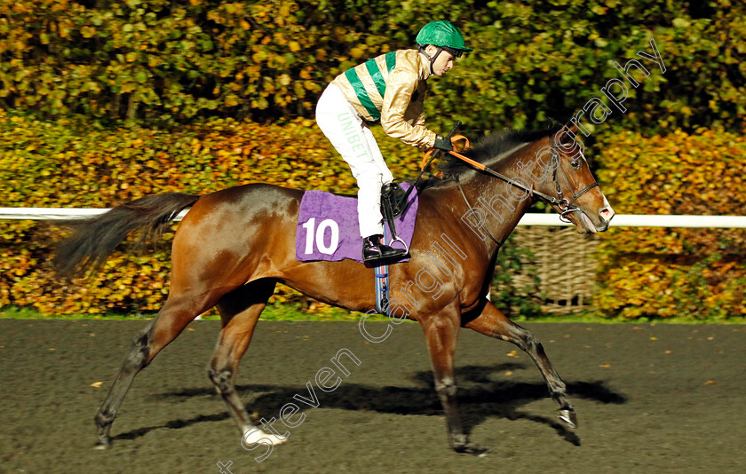 Optik-0001 
 OPTIK (Jamie Spencer)
Kempton 16 Nov 2022 - Pic Steven Cargill / Racingfotos.com