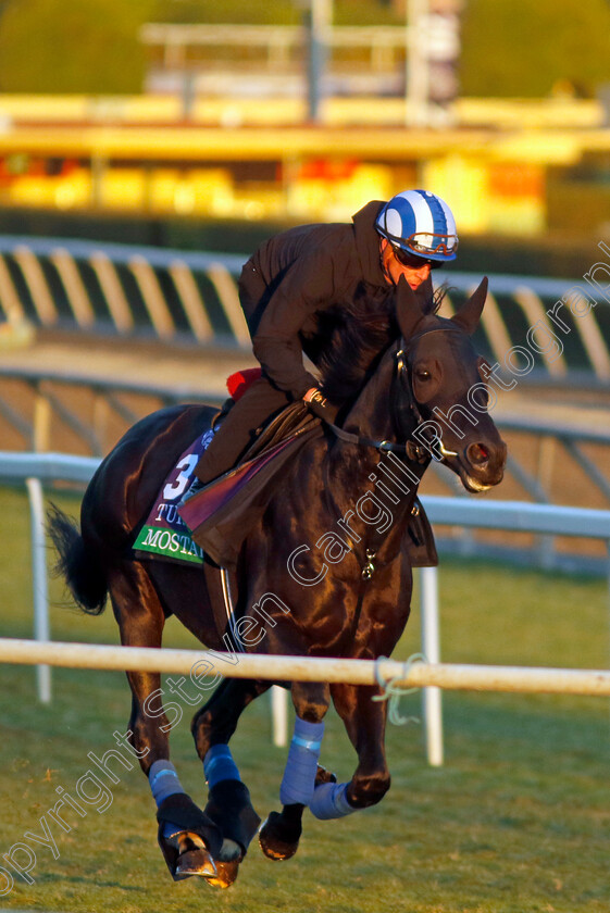 Mostahdaf-0005 
 MOSTAHDAF (Jim Crowley) training for The Breeders' Cup Turf
Santa Anita 2 Nov 2023 - Pic Steven Cargill / Racingfotos.com