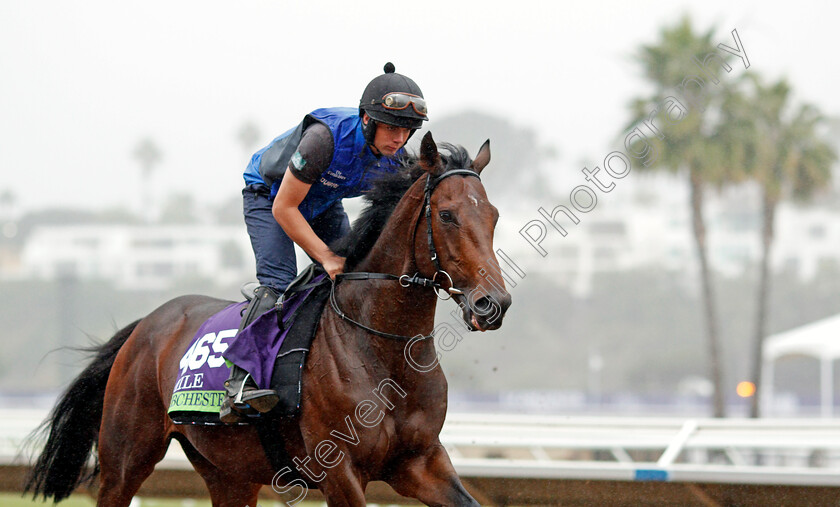 Ribchester-0002 
 RIBCHESTER training for The Breeders' Cup Mile at Del Mar USA 31 Oct 2017 - Pic Steven Cargill / Racingfotos.com