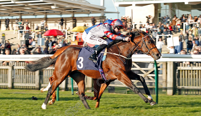 Knight-To-Behold-0001 
 KNIGHT TO BEHOLD (Richard Kingscote) wins The British EBF Racing UK Novice Stakes Newmarket 25 Oct 2017 - Pic Steven Cargill / Racingfotos.com