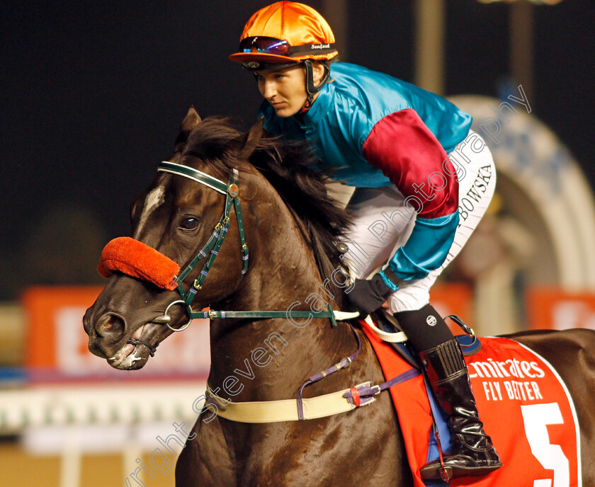 Good-Trip-0001 
 GOOD TRIP (Joanna Grzybowska)
Meydan 7 Mar 2020 - Pic Steven Cargill / Racingfotos.com