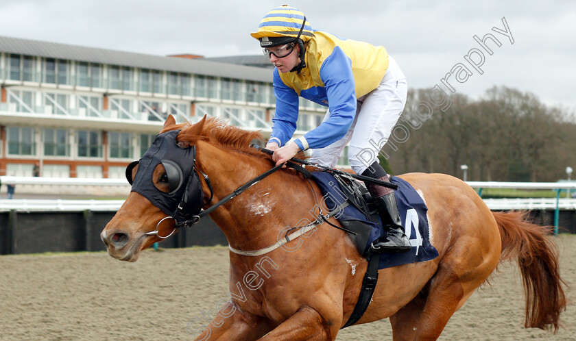 Brockey-Rise-0005 
 BROCKEY RISE (Katherine Begley) wins The Play 4 To Score At Betway Handicap
Lingfield 25 Jan 2019 - Pic Steven Cargill / Racingfotos.com