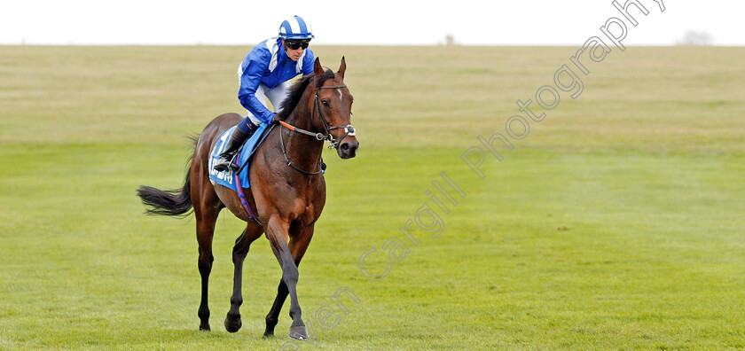 Mustashry-0009 
 MUSTASHRY (Jim Crowley) after The Godolphin Stud & Stable Staff Awards Challenge Stakes
Newmarket 11 Oct 2019 - Pic Steven Cargill / Racingfotos.com