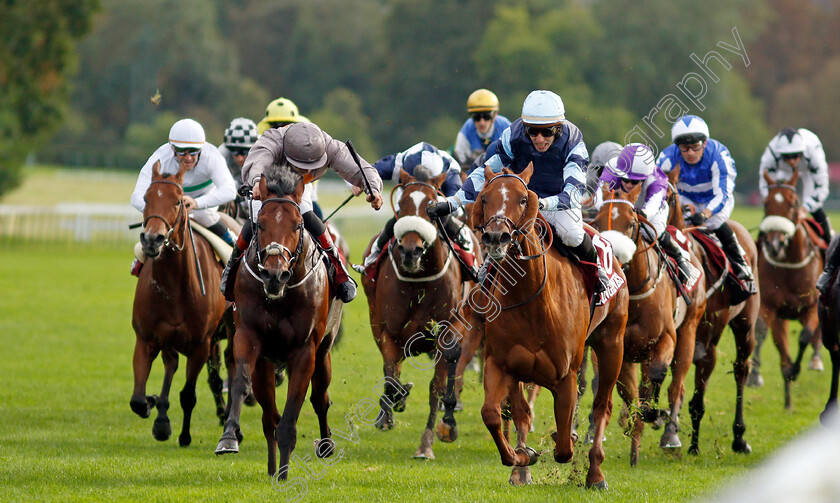 A-Case-Of-You-0003 
 A CASE OF YOU (left, Ronan Whelan) beats AIR DE VALSE (right) in The Prix de L'Abbaye de Longchamp
Longchamp 3 Oct 2021 - Pic Steven Cargill / Racingfotos.com