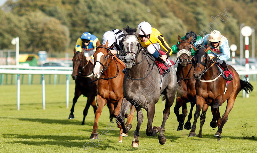 Luncies-0006 
 LUNCIES (Callum Shepherd) wins The Watch Racing On Betfair For Free Handicap
Haydock 4 Sep 2020 - Pic Steven Cargill / Racingfotos.com