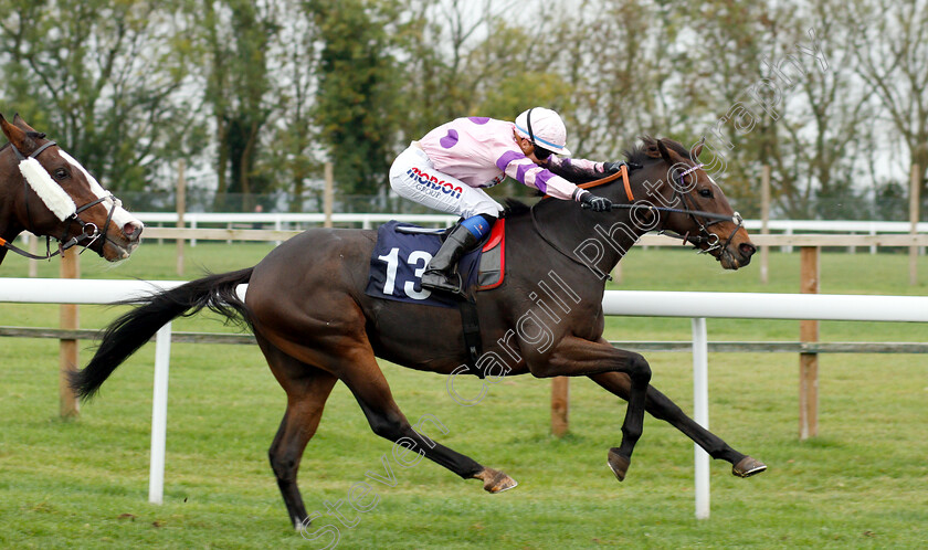 Divin-Bere-0006 
 DIVIN BERE (Megan Nicholls) wins The Octagon Consultancy Handicap
Bath 17 Oct 2018 - Pic Steven Cargill / Racingfotos.com