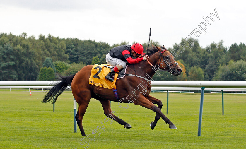 Artistic-Rifles-0003 
 ARTISTIC RIFLES (Andrea Atzeni) wins The Betfair Double Daily Rewards Superior Mile 
Haydock 4 Sep 2021 - Pic Steven Cargill / Racingfotos.com