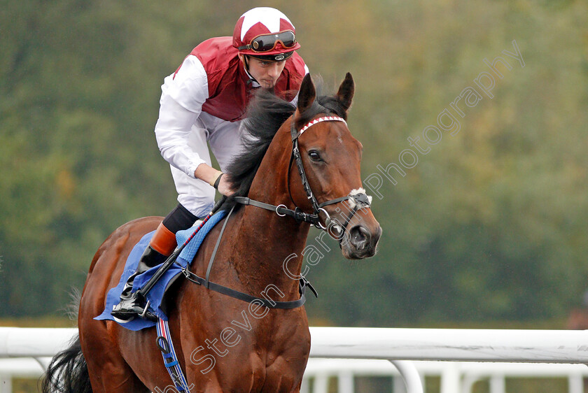 Graffiti-Master-0002 
 GRAFFITI MASTER (James Doyle) winner of The Matchbook British Stallion Studs EBF Novice Stakes Kempton 25 Sep 2017 - Pic Steven Cargill / Racingfotos.com