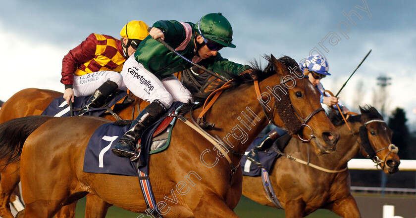 Pulsating-0003 
 PULSATING (Edward Greatrex) wins The Betway Sprint Handicap Wolverhampton 4 Jan 2018 - Pic Steven Cargill / Racingfotos.com