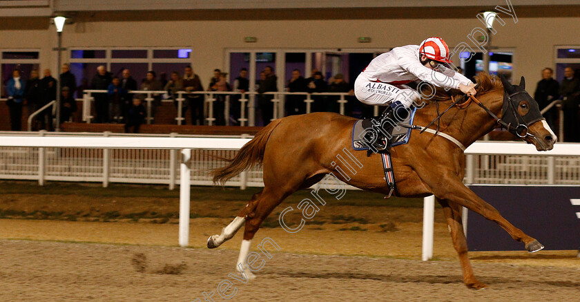 Zmhar-0003 
 ZMHAR (Oisin Murphy) wins The Extra Places At totesport.com Handicap
Chelmsford 20 Feb 2019 - Pic Steven Cargill / Racingfotos.com