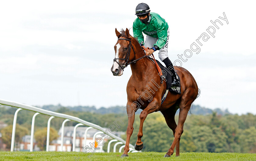 Billesdon-Brook-0001 
 BILLESDON BROOK (Sean Levey)
Sandown 23 Aug 2020 - Pic Steven Cargill / Racingfotos.com