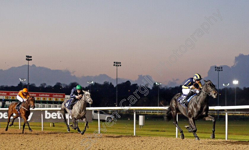 Waliyak-0001 
 WALIYAK (Jack Mitchell) wins The Ladbrokes Fillies Novice Stakes
Wolverhampton 26 Nov 2019 - Pic Steven Cargill / Racingfotos.com