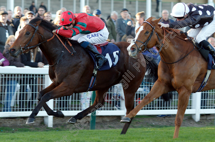 Agent-Of-Fortune-0004 
 AGENT OF FORTUNE (Joey Haynes) beats DUCHESS OF AVON (right) in The Peter Dunnett 20 Year Memorial Handicap
Yarmouth 23 Oct 2018 - Pic Steven Cargill / Racingfotos.com