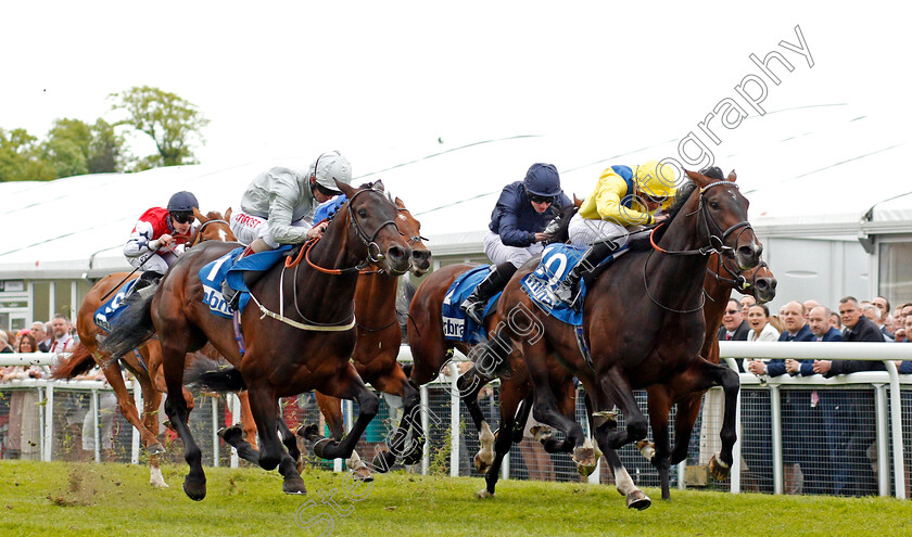 Young-Rascal-0004 
 YOUNG RASCAL (James Doyle) beats DEE EX BEE (left) in The Centennial Celebration MBNA Chester Vase Stakes Chester 9 May 2018 - Pic Steven Cargill / Racingfotos.com