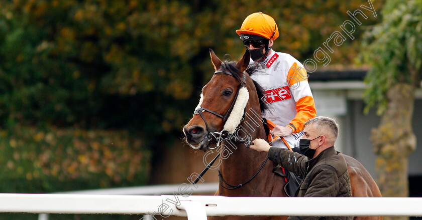 Rasheeq-0001 
 RASHEEQ (Jack Mitchell)
Nottingham 28 Oct 2020 - Pic Steven Cargill / Racingfotos.com