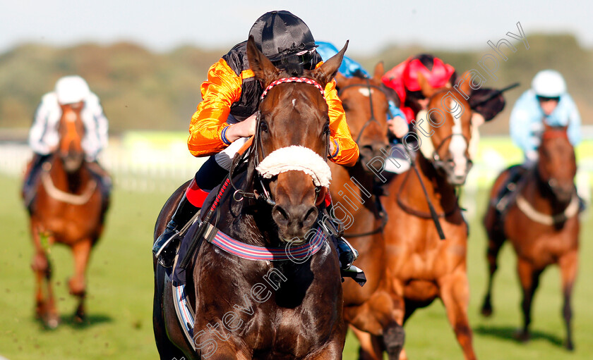 Saaheq-0005 
 SAAHEQ (David Egan) wins The 1stsecuritysolutions.co.uk Handicap
Doncaster 12 Sep 2018 - Pic Steven Cargill / Racingfotos.com