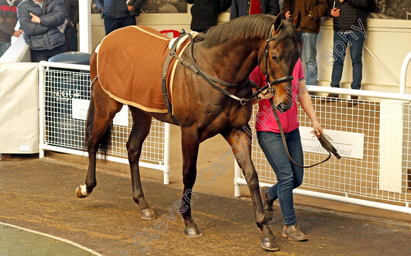 Lot-0057-colt-by-Shanghai-Bobby-ex-Anysaturdayinmay-0001 
 Lot 057 colt by Shanghai Bobby ex Anysaturdayinmay sells for £55,000 at the Tattersalls Ireland Ascot Breeze Up Sale 5 Apr 2018 - Pic Steven Cargill / Racingfotos.com