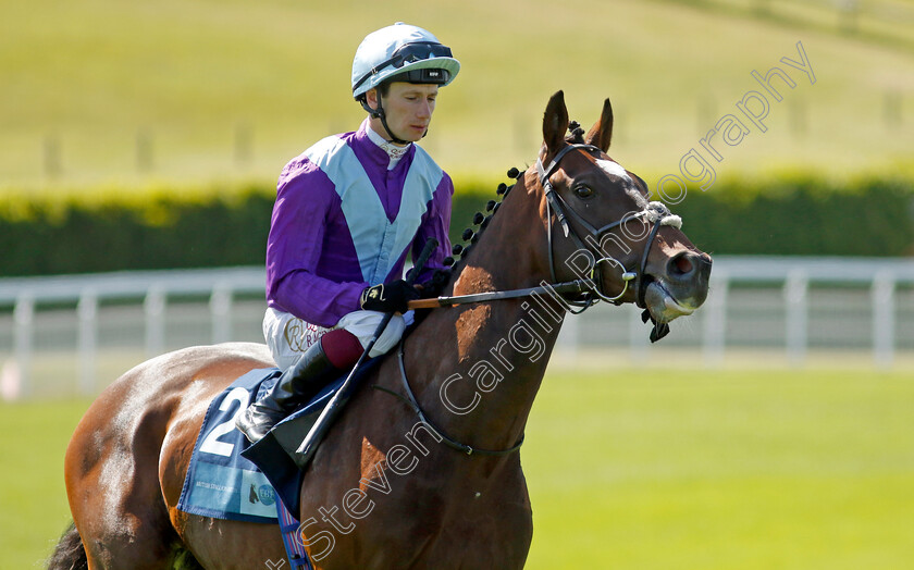 Galactic-Jack-0001 
 GALACTIC JACK (Oisin Murphy)
Goodwood 26 May 2023 - Pic Steven Cargill / Racingfotos.com