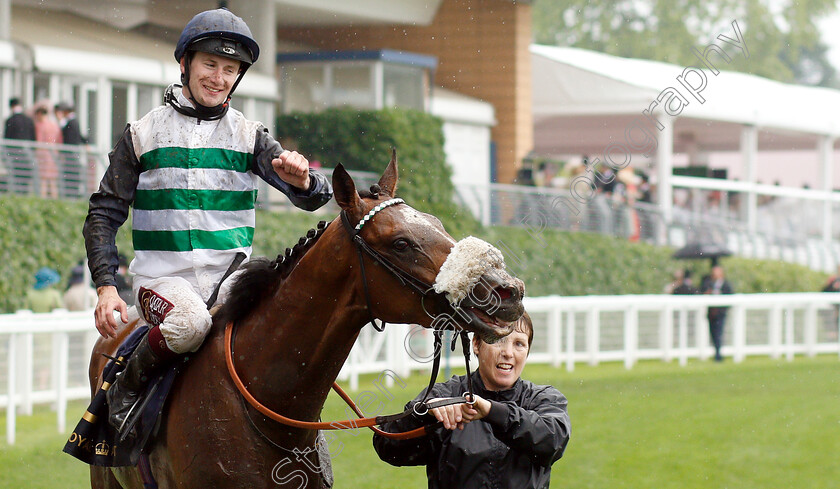 Dashing-Willoughby-0005 
 DASHING WILLOUGHBY (Oisin Murphy) after The Queen's Vase
Royal Ascot 19 Jun 2019 - Pic Steven Cargill / Racingfotos.com