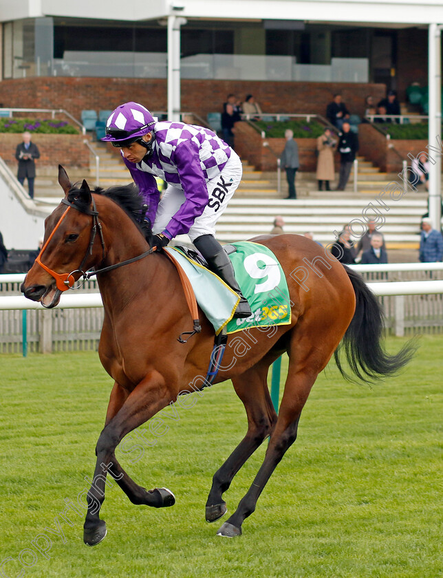 Powerdress-0001 
 POWERDRESS (Sean Levey)
Newmarket 18 Apr 2023 - Pic Steven Cargill / Racingfotos.com