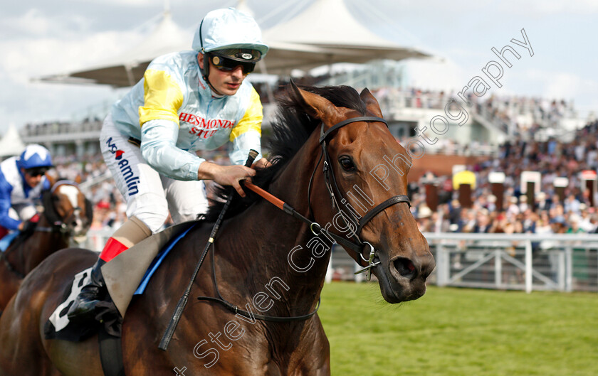 Aktau-0002 
 AKTAU (Andrea Atzeni) wins The TDN Australia Handicap
Goodwood 2 Aug 2019 - Pic Steven Cargill / Racingfotos.com