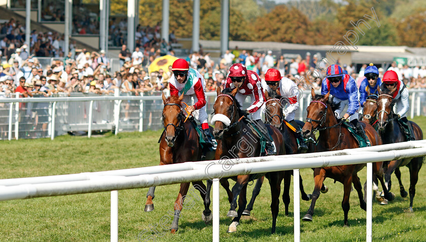 Mr-Hollywood-and-Tunnes-0001 
 MR HOLLYWOOD (centre, Leon Wolff) with TUNNES (left) 
Baden Baden 1 Sep 2024 - Pic Steven Cargill / Racingfotos.com