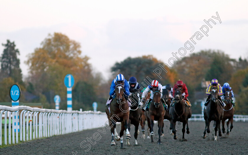 Mukaafah-0006 
 MUKAAFAH (Jim Crowley) wins The Unibet More Extra Places Races Novice Stakes
Kempton 15 Nov 2023 - Pic Steven Cargill / Racingfotos.com