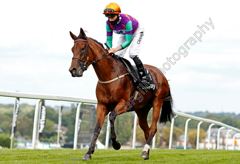 Lady-Bowthorpe-0002 
 LADY BOWTHORPE (Kieran Shoemark)
Sandown 23 Aug 2020 - Pic Steven Cargill / Racingfotos.com