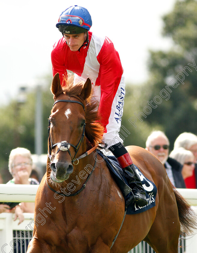 Zonderland-0001 
 ZONDERLAND (Adam Kirby)
Salisbury 16 Aug 2018 - Pic Steven Cargill / Racingfotos.com