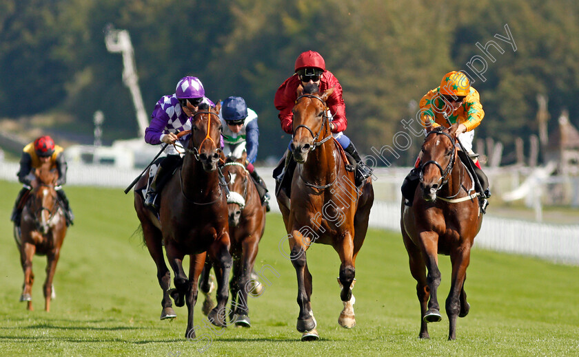 War-Horse-0004 
 WAR HORSE (centre, Marco Ghiani) beats SUPER STARS (right) and HAPAP (left) in The Ryan Canter Club Future Stayers EBF Maiden Stakes
Goodwood 22 Sep 2021 - Pic Steven Cargill / Racingfotos.com