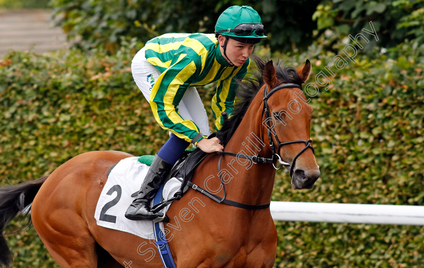 Eighth-Avenue-0001 
 EIGHTH AVENUE (Billy Loughnane)
Kempton 12 Jun 2024 - Pic Steven Cargill / Racingfotos.com