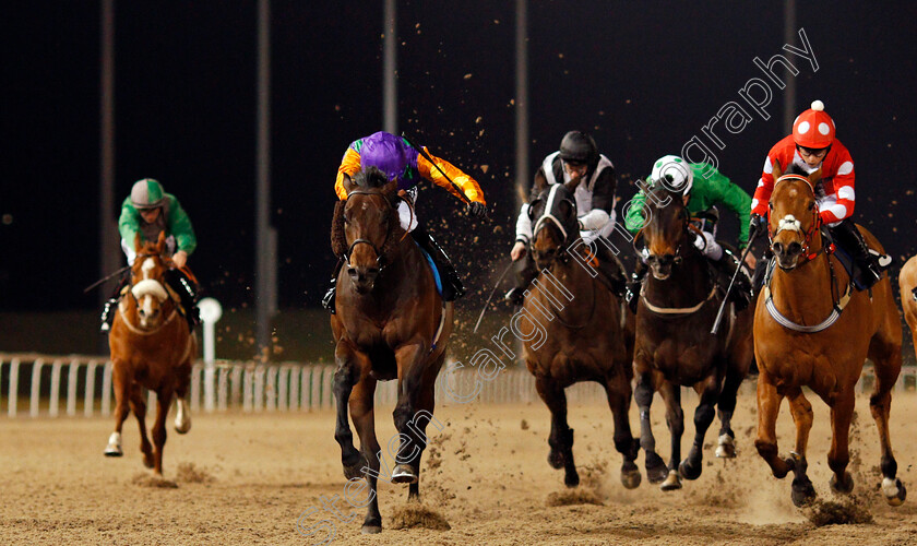 Arnarson-0001 
 ARNARSON (left, Martin Harley) beats SPARE PARTS (right) in The Bet Trifecta At totesport.com Handicap Chelmsford 15 Feb 2018 - Pic Steven Cargill / Racingfotos.com