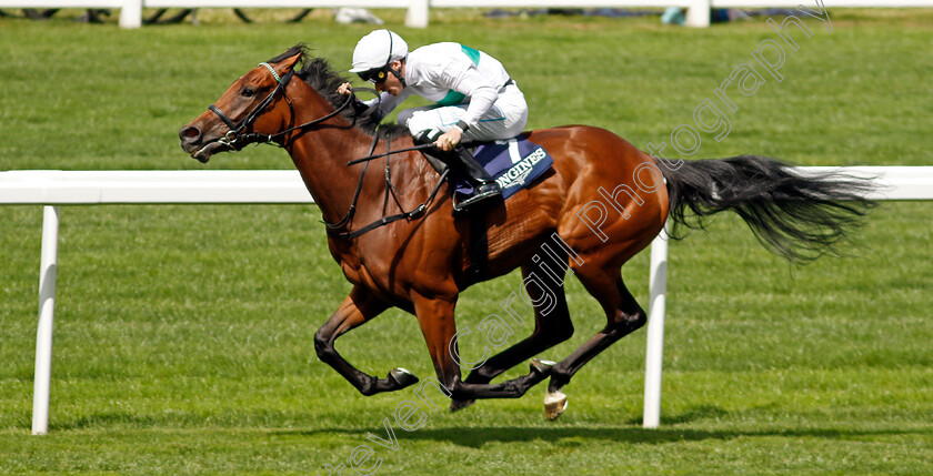 Friendly-Soul-0002 
 FRIENDLY SOUL (Kieran Shoemark) wins The Longines Valiant Stakes
Ascot 27 Jul 2024 - Pic Steven Cargill / Racingfotos.com