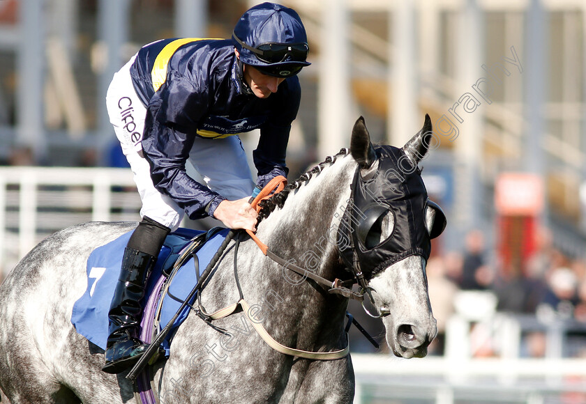 Markazi-0001 
 MARKAZI (Daniel Tudhope)
Nottingham 10 Apr 2019 - Pic Steven Cargill / Racingfotos.com