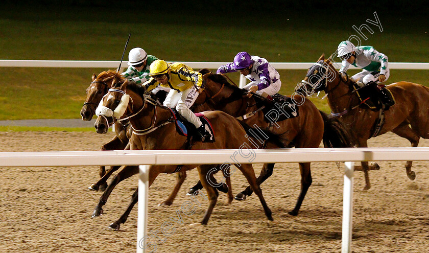 Daddys-Poppit-0002 
 DADDYS POPPIT (farside, Hollie Doyle) beats JUST US TWO (yellow) in The Gentlemen's Day Here Handicap
Chelmsford 6 Sep 2018 - Pic Steven Cargill / Racingfotos.com