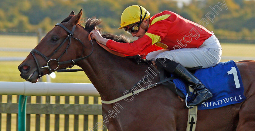 Data-Protection-0003 
 DATA PROTECTION (James Doyle) wins The Shadwell Farm Handicap
Newmarket 27 Sep 2019 - Pic Steven Cargill / Racingfotos.com