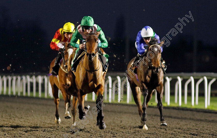 Nanny-Park-0001 
 NANNY PARK (Daniel Muscutt) wins The Racing TV Fillies Restricted Novice Stakes
Kempton 11 Dec 2024 - Pic Steven Cargill / Racingfotos.com