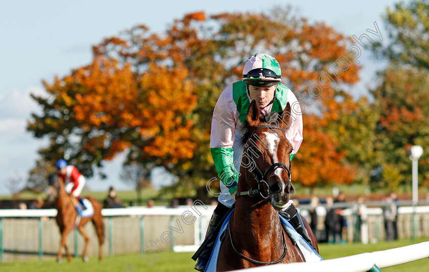 Royal-Scotsman-0001 
 ROYAL SCOTSMAN (Jamie Spencer)
Newmarket 11 Oct 2024 - Pic Steven Cargill / Racingfotos.com