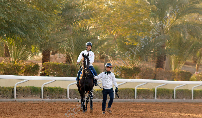 Songline-0002 
 SONGLINE training for The 1351 Turf Sprint
King Abdulaziz Racecourse, Kingdom Of Saudi Arabia, 23 Feb 2023 - Pic Steven Cargill / Racingfotos.com