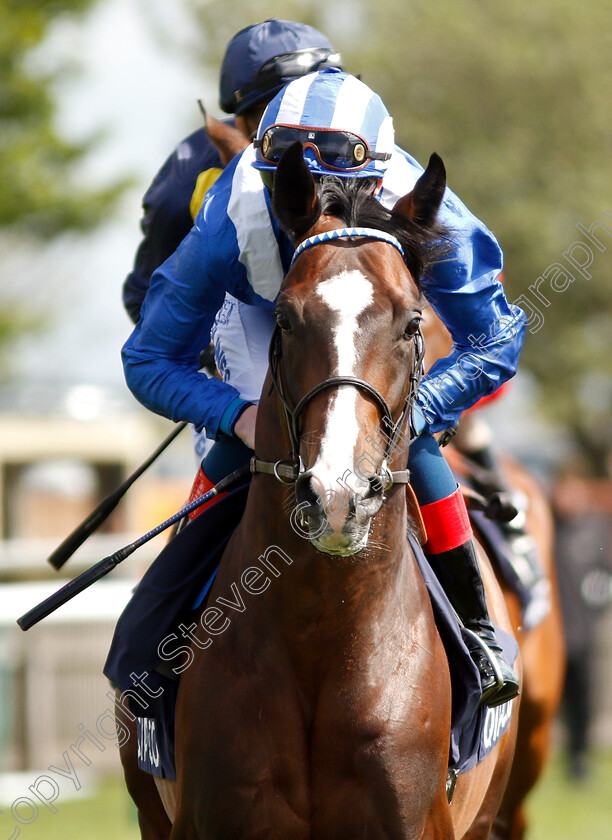 Ibraz-0001 
 IBRAZ (David Egan)
Newmarket 4 May 2019 - Pic Steven Cargill / Racingfotos.com