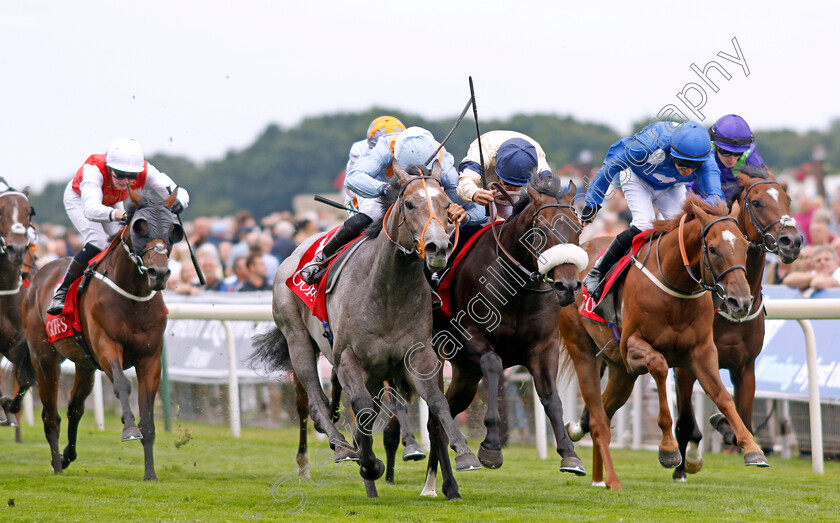 Shouldvebeenaring-0003 
 SHOULDVEBEENARING (left, Sean Levey) beats WASHINGTON HEIGHTS (centre) and NORTHCLIFF (right) in The Goffs UK Harry Beeby Premier Yearling Stakes
York 18 Aug 2022 - Pic Steven Cargill / Racingfotos.com