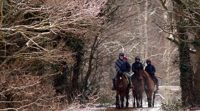 Newmarket-Snow-0012 
 Racehorses training in the snow at Newmarket
1 Feb 2019 - Pic Steven Cargill / Racingfotos.com