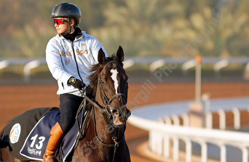 Songline-0001 
 SONGLINE training for The Neom Turf Cup
King Abdulaziz Racetrack, Riyadh, Saudi Arabia 22 Feb 2022 - Pic Steven Cargill / Racingfotos.com