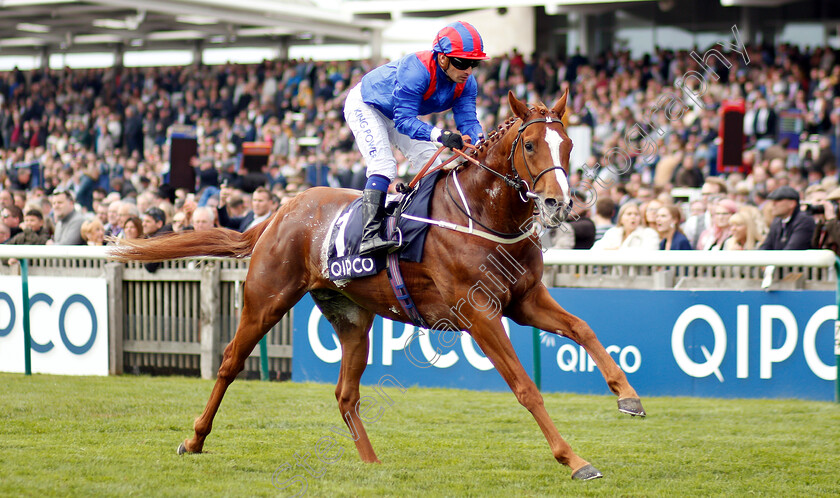 Nayef-Road-0004 
 NAYEF ROAD (Silvestre De Sousa) wins The Qipco Supporting British Racing Handicap
Newmarket 5 May 2019 - Pic Steven Cargill / Racingfotos.com