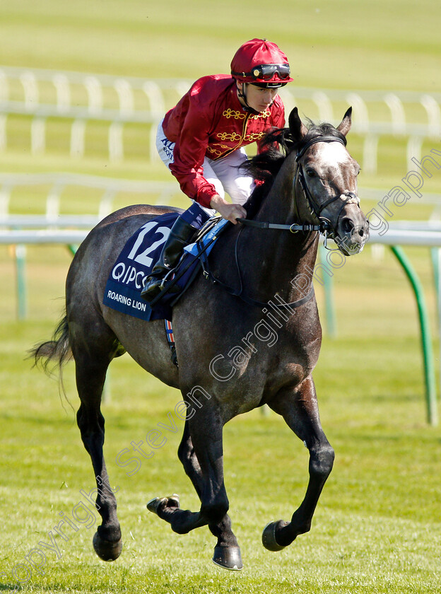 Roaring-Lion-0001 
 ROARING LION (Oisin Murphy) Newmarket 5 May 2018 - Pic Steven Cargill / Racingfotos.com