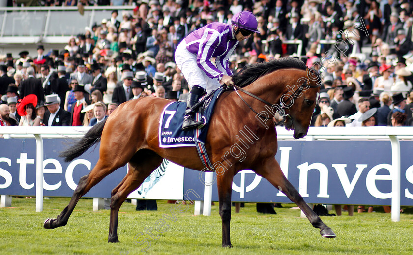 Japan-0001 
 JAPAN (Wayne Lordan)
Epsom 1 Jun 2019 - Pic Steven Cargill / Racingfotos.com